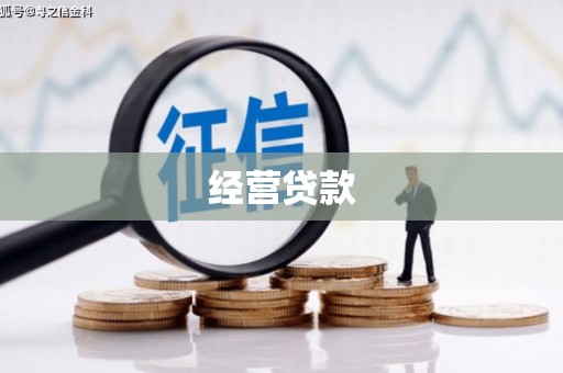隆子经营贷款