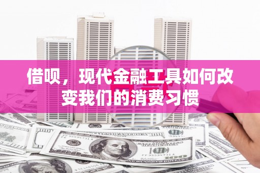 隆子借呗，现代金融工具如何改变我们的消费习惯