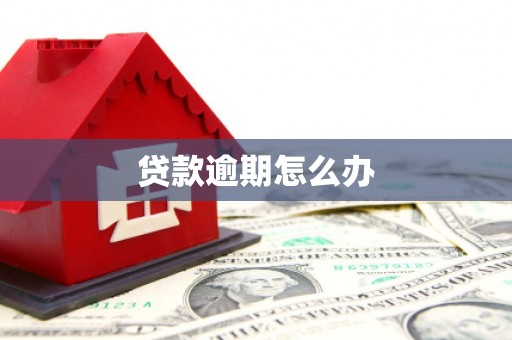 隆子贷款逾期怎么办