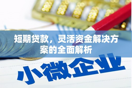 隆子短期贷款，灵活资金解决方案的全面解析