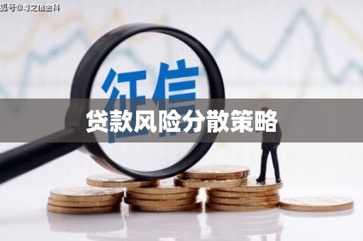 隆子贷款风险分散策略