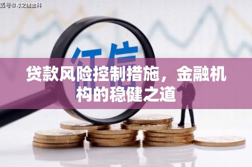 隆子贷款风险控制措施，金融机构的稳健之道