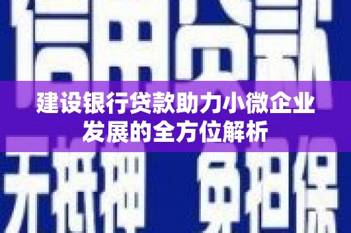 隆子建设银行贷款助力小微企业发展的全方位解析