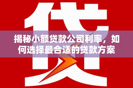 隆子揭秘小额贷款公司利率，如何选择最合适的贷款方案