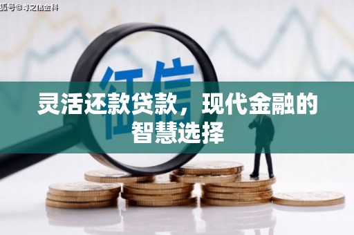 隆子灵活还款贷款，现代金融的智慧选择