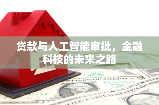 隆子贷款与人工智能审批，金融科技的未来之路