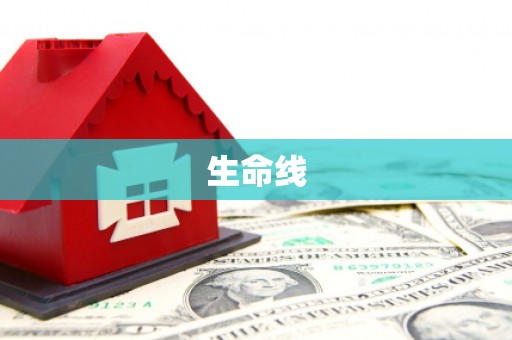 隆子生命线