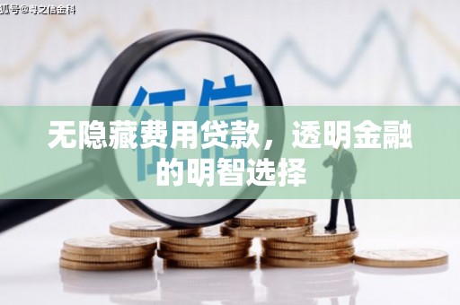 隆子无隐藏费用贷款，透明金融的明智选择
