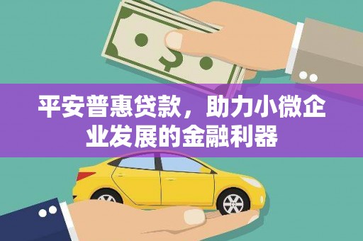 隆子平安普惠贷款，助力小微企业发展的金融利器