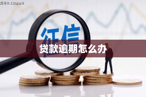 隆子贷款逾期怎么办