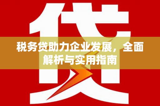 隆子税务贷助力企业发展，全面解析与实用指南