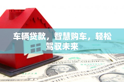 隆子车辆贷款，智慧购车，轻松驾驭未来