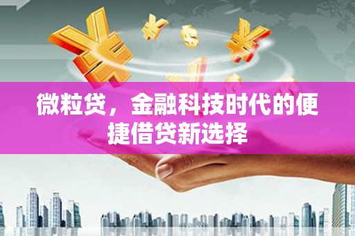 隆子微粒贷，金融科技时代的便捷借贷新选择