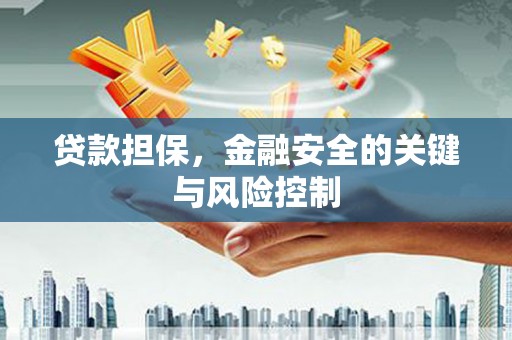 隆子贷款担保，金融安全的关键与风险控制