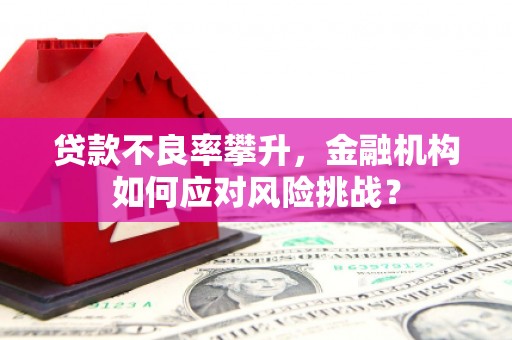 隆子贷款不良率攀升，金融机构如何应对风险挑战？