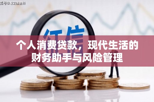 隆子个人消费贷款，现代生活的财务助手与风险管理