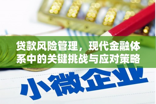 隆子贷款风险管理，现代金融体系中的关键挑战与应对策略