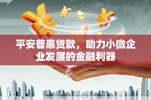 隆子平安普惠贷款，助力小微企业发展的金融利器