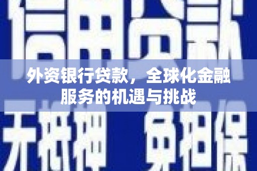 隆子外资银行贷款，全球化金融服务的机遇与挑战