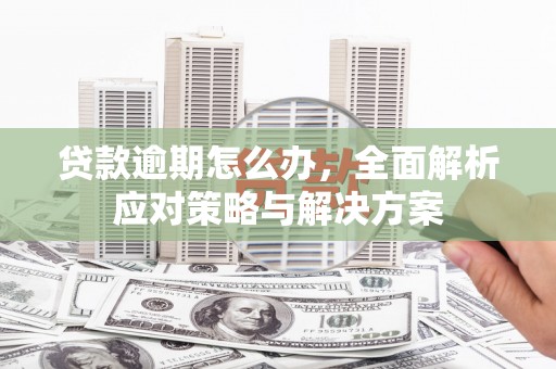 隆子贷款逾期怎么办，全面解析应对策略与解决方案
