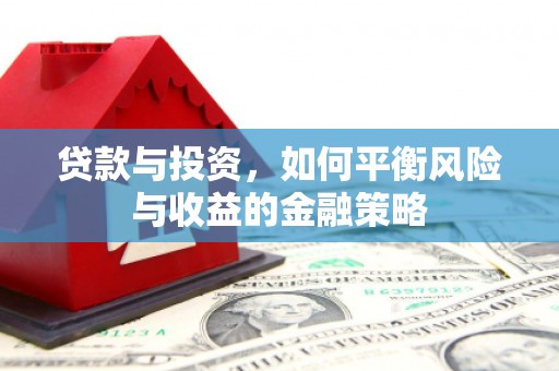 隆子贷款与投资，如何平衡风险与收益的金融策略