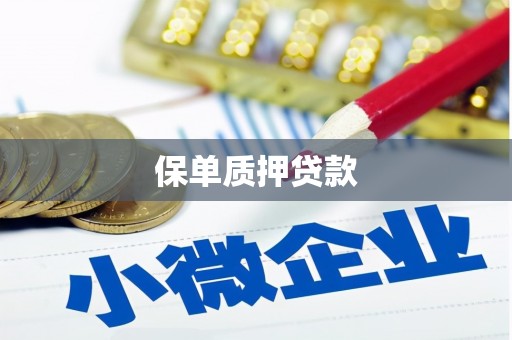 隆子保单质押贷款