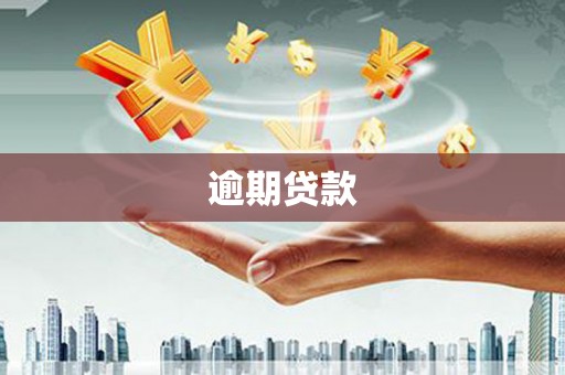 隆子逾期贷款
