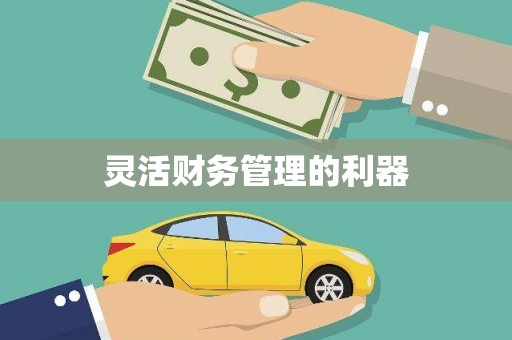 隆子灵活财务管理的利器