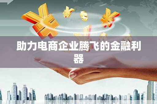 隆子助力电商企业腾飞的金融利器