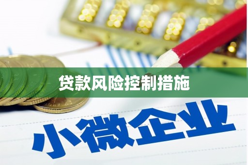 隆子贷款风险控制措施