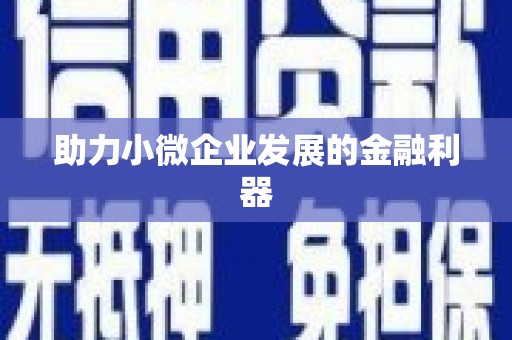 隆子助力小微企业发展的金融利器