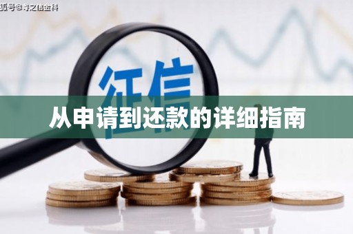 隆子从申请到还款的详细指南
