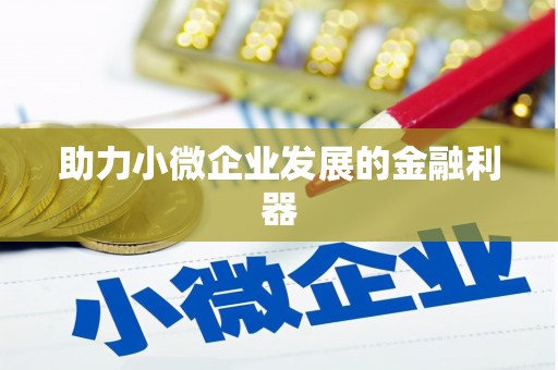 隆子助力小微企业发展的金融利器