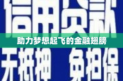 隆子助力梦想起飞的金融翅膀