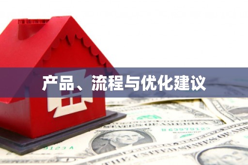 隆子产品、流程与优化建议