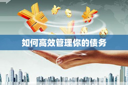 隆子如何高效管理你的债务