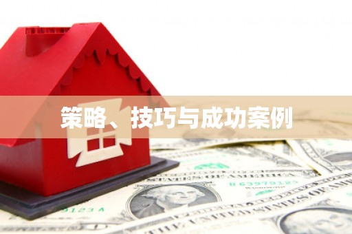 隆子策略、技巧与成功案例