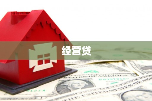 隆子经营贷