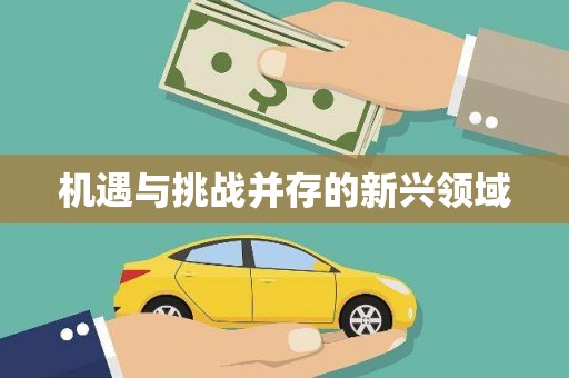 隆子机遇与挑战并存的新兴领域
