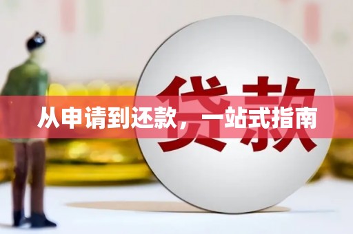 隆子从申请到还款，一站式指南