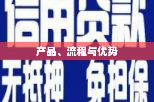 隆子产品、流程与优势