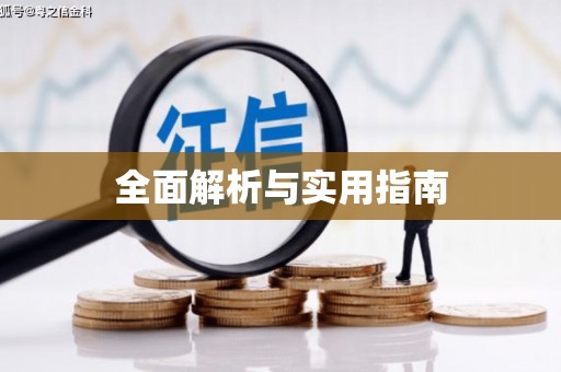 隆子全面解析与实用指南