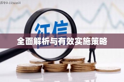 隆子全面解析与有效实施策略
