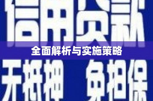 隆子全面解析与实施策略