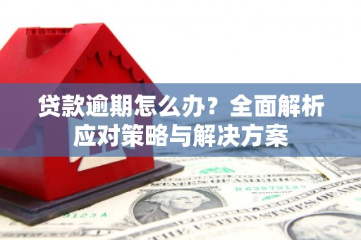 隆子贷款逾期怎么办？全面解析应对策略与解决方案
