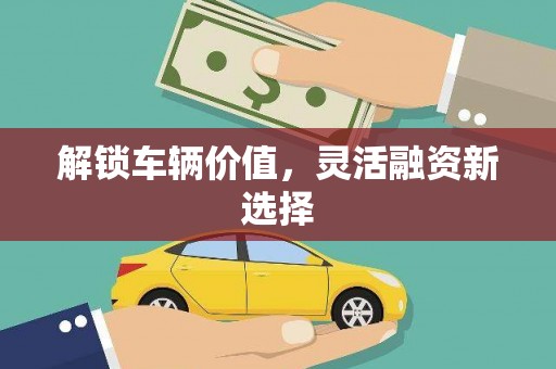 隆子解锁车辆价值，灵活融资新选择
