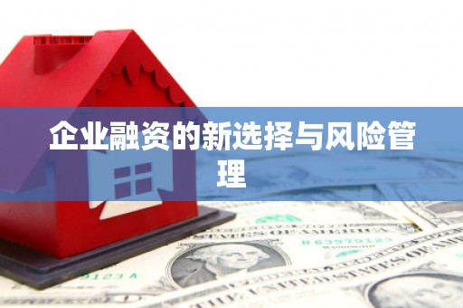 隆子企业融资的新选择与风险管理