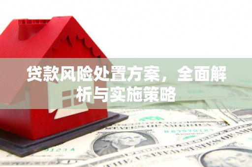 隆子贷款风险处置方案，全面解析与实施策略