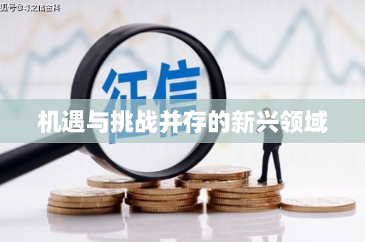 隆子机遇与挑战并存的新兴领域