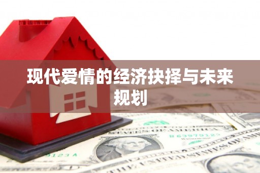 隆子现代爱情的经济抉择与未来规划